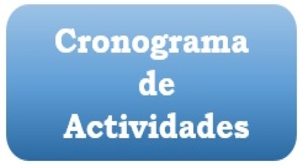 Cronograma